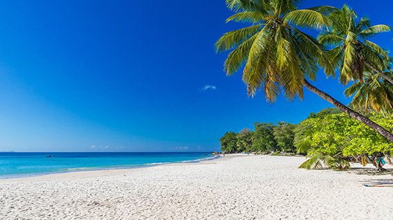 Public Beach